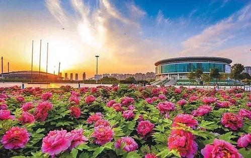 洛阳植物园爆料视频播放 第1张 洛阳植物园爆料视频播放 第1张